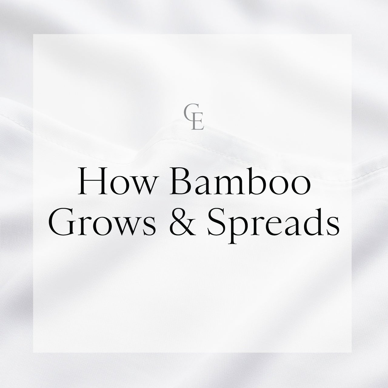 How Bamboo Grows & Spreads
