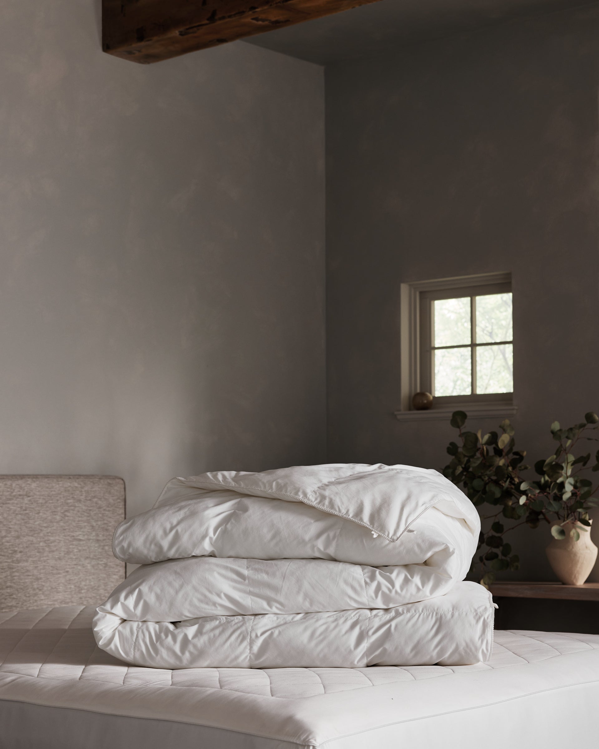 A neatly folded Cozy Earth Down Alternative Comforter rests on a bed in a softly lit, minimalist bedroom with gray walls, a small window, and a potted plant on a wooden table.Coal Stripe/Striped Alabaster, Laurel Stripe/Striped Bone |Filling:Standard